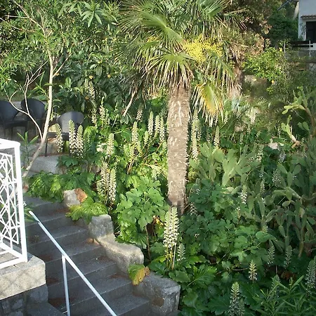 Apartamento Manuela *